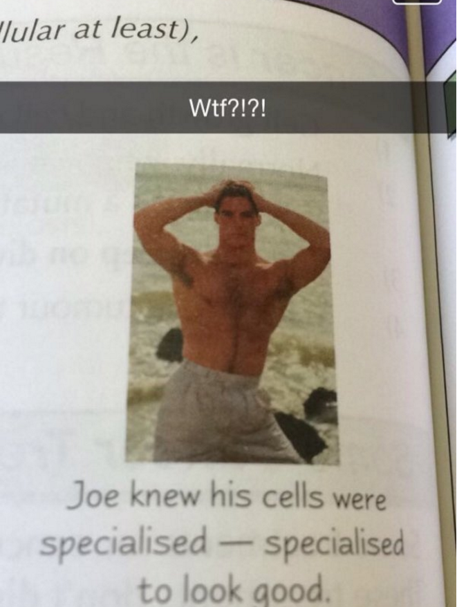 Funniest Easter Eggs Hidden in Textbooks