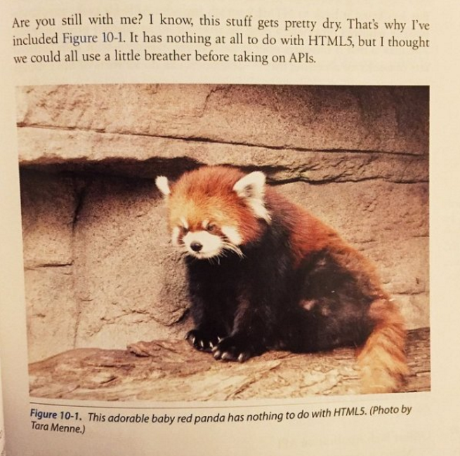 Funniest Easter Eggs Hidden in Textbooks