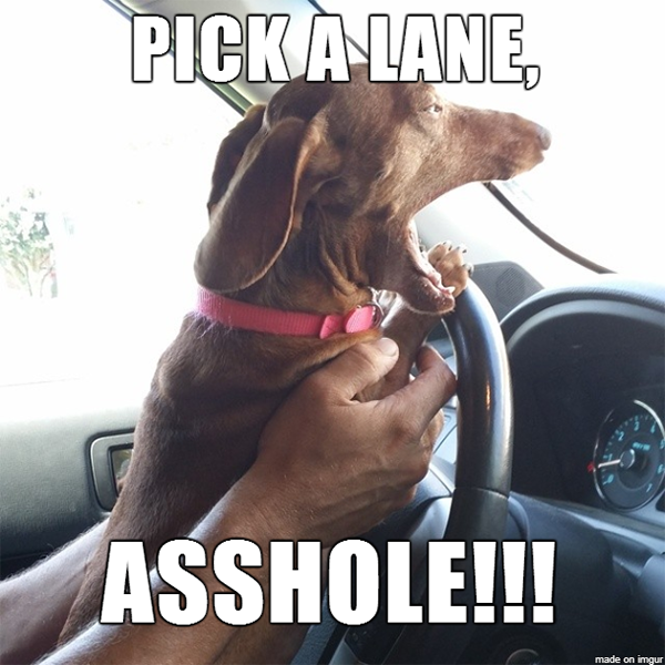 Road rage memes are the driving force behind humor