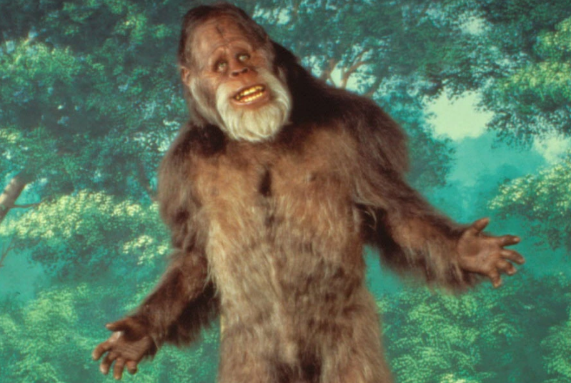 14% of Americans think Bigfoot is real.