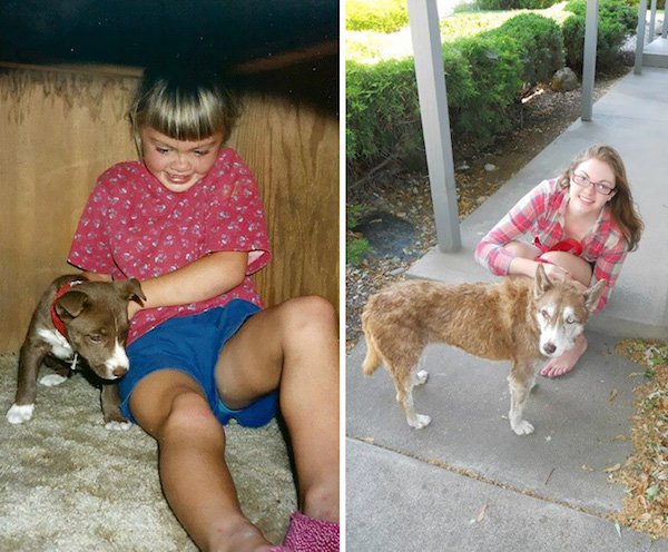 “My girlfriend’s dog, Nala. She lived to the ripe old age of 17 and a half.”