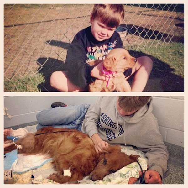 First and last pictures of pets