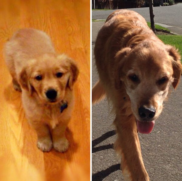 “My Micky on his first and last day at my house.”