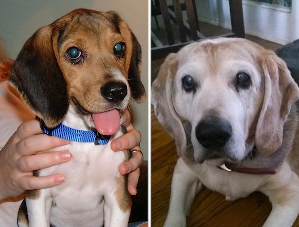 “First (2000) and last (2014) pics of Bert.”