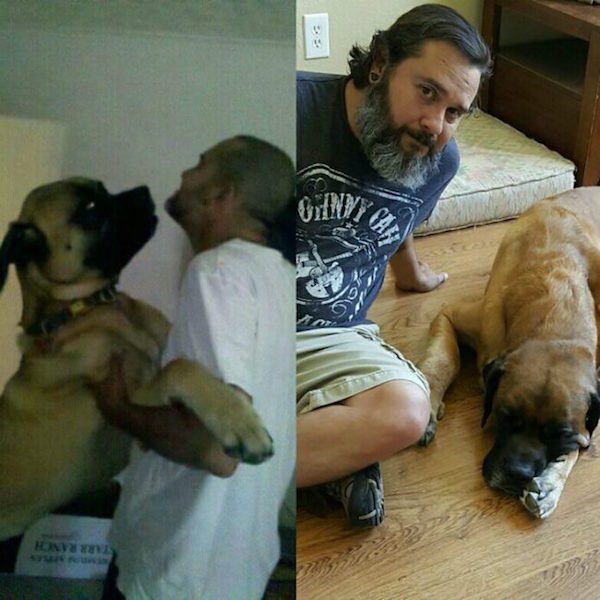 First and last pictures of pets