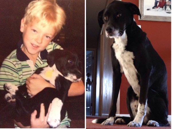 “From the first ‘hi’ to the final ‘goodbye’, this is the best dog I’ve ever had.”