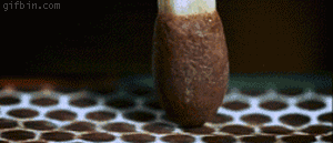 Slow motion GIFs are the best form of eye candy