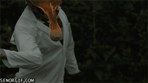 Slow motion GIFs are the best form of eye candy