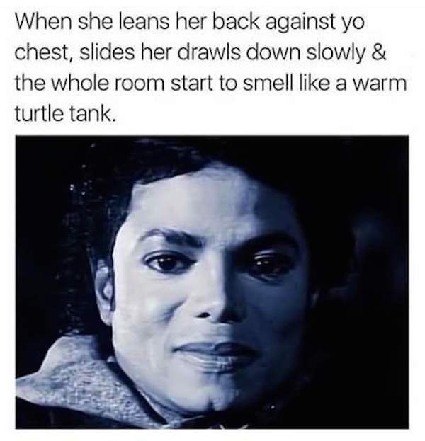 warm turtle tank meme - When she leans her back against yo chest, slides her drawls down slowly & the whole room start to smell a warm turtle tank.