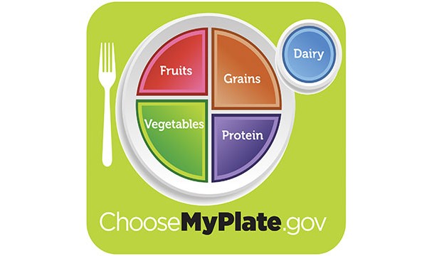 my plate - Dairy Fruits Grains Vegetables Protein Choose MyPlate.gov
