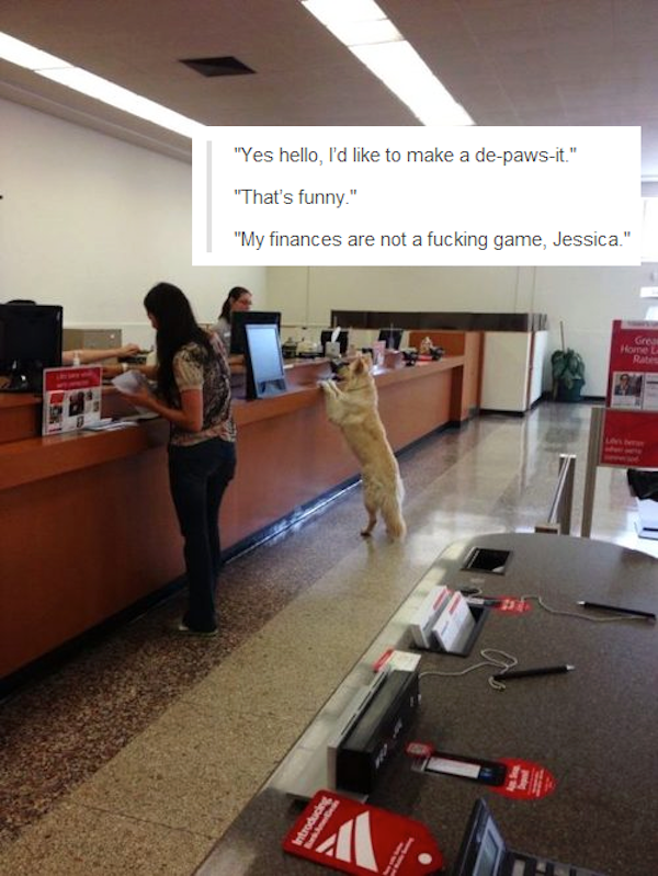 tumblr - my finances are not a joke - "Yes hello, I'd to make a depawsit." "That's funny." "My finances are not a fucking game, Jessica."