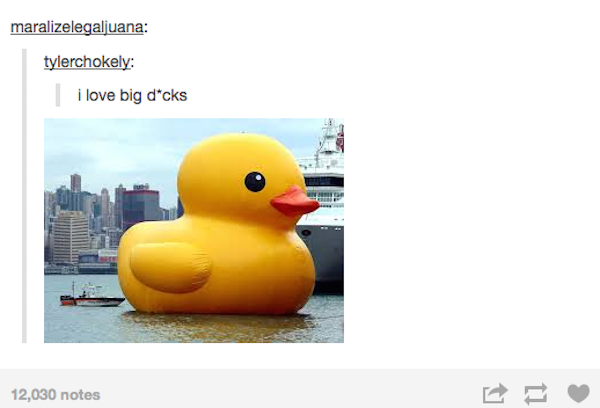 tumblr - rubber ducky - maralizelegaljuana tylerchokely i love big dcks 12,030 notes