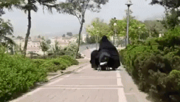 Woman in Iran walking with her kids and a stroller