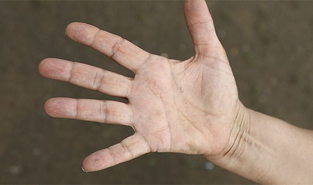 The first finger of a female's hand is usually longer than the third. With males, it's usually the other way.