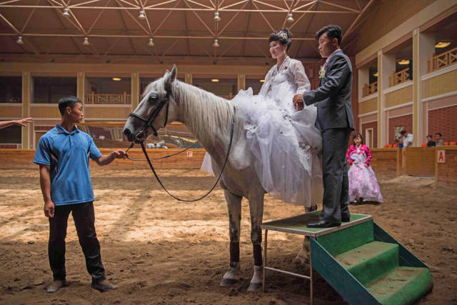 A bride and groom pose for their wedding pics with a horse.