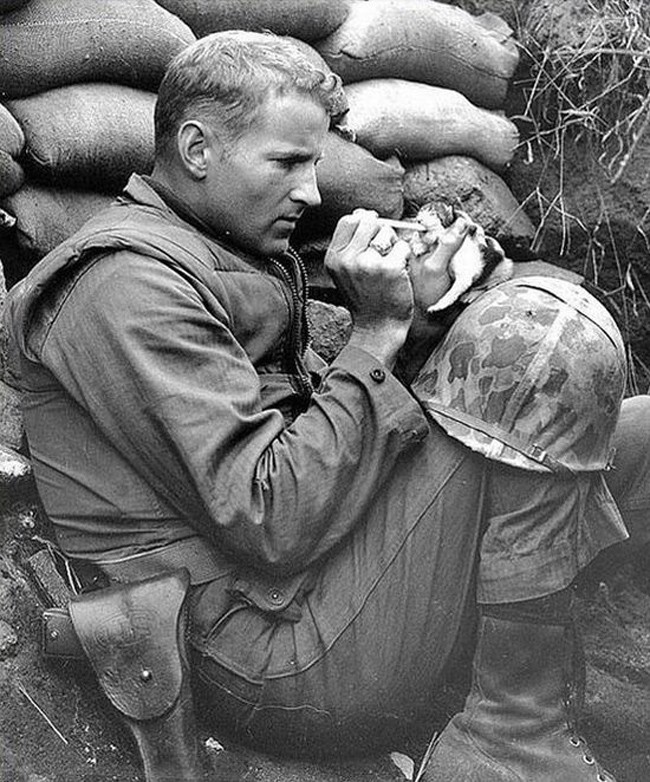 Marine Sergeant Frank Praytor feeds a kitten after it’s mother was killed by mortar fire. [Korean War, 1953]