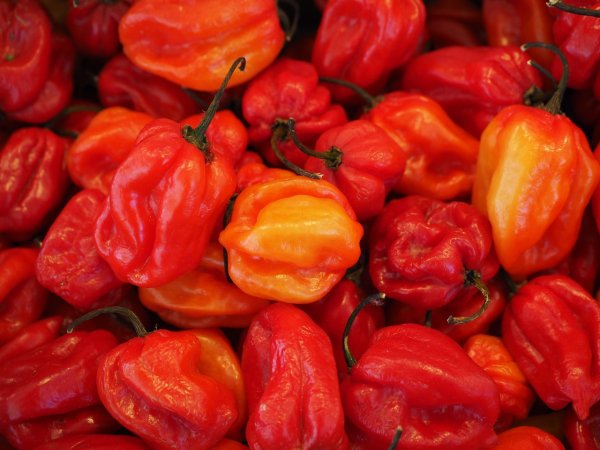 Spicy Foods.
Spicy foods contain capsaicin and can remain in our mouths or on our skin after touching or consuming spicy foods.