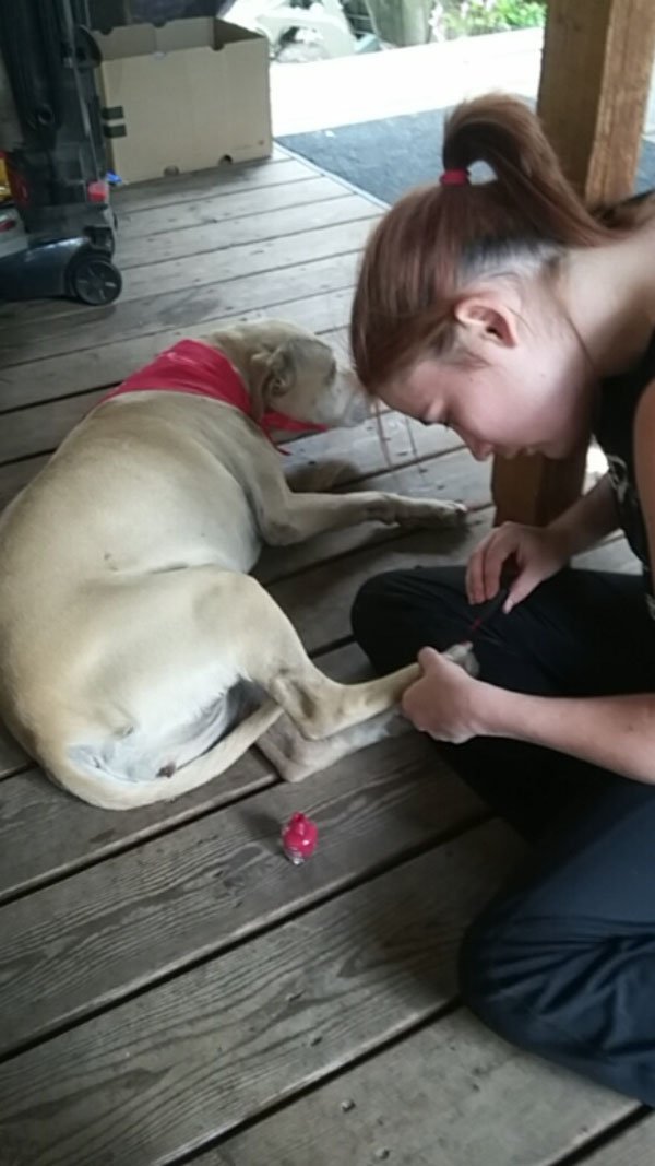 Owner Shares Last Day With Her Beloved Pup