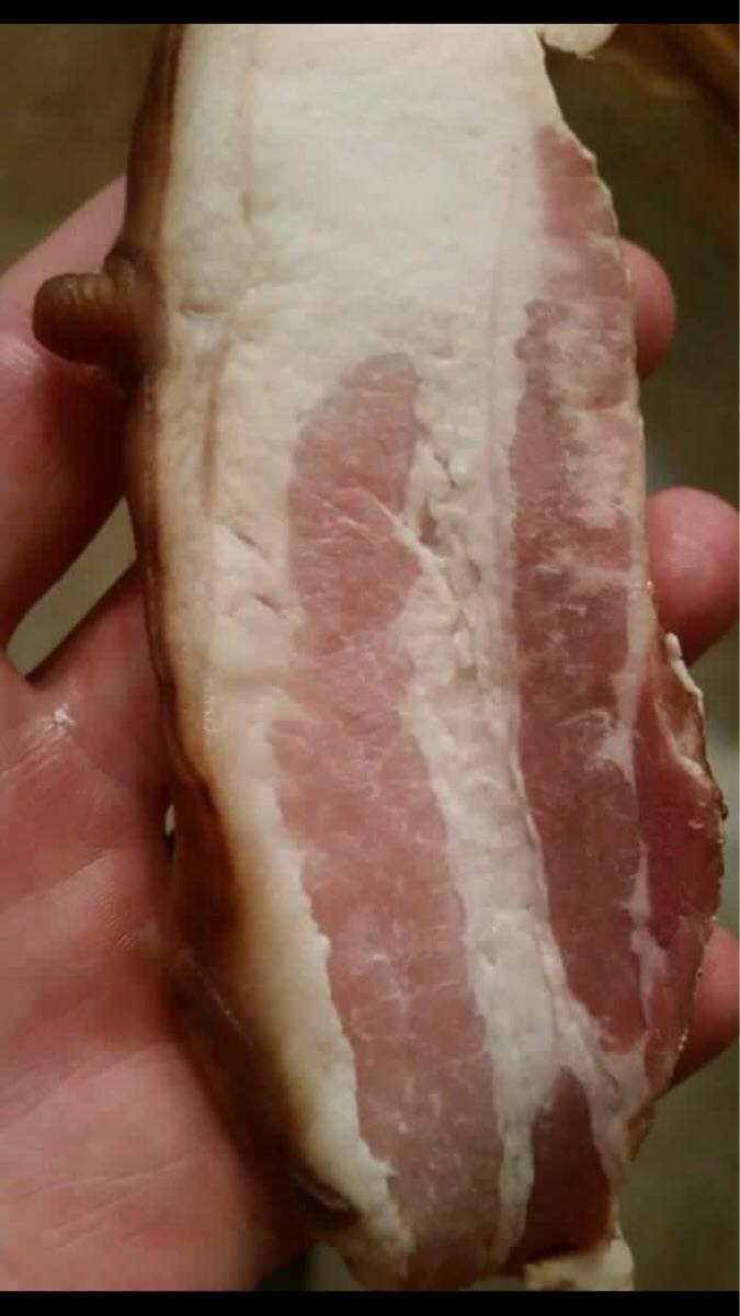 This #FreeTheNipple themed bacon