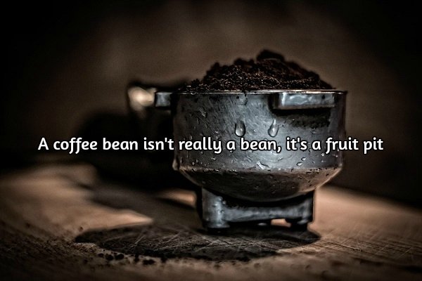 Wake up to some stimulating facts about coffee