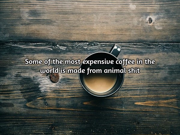 Wake up to some stimulating facts about coffee