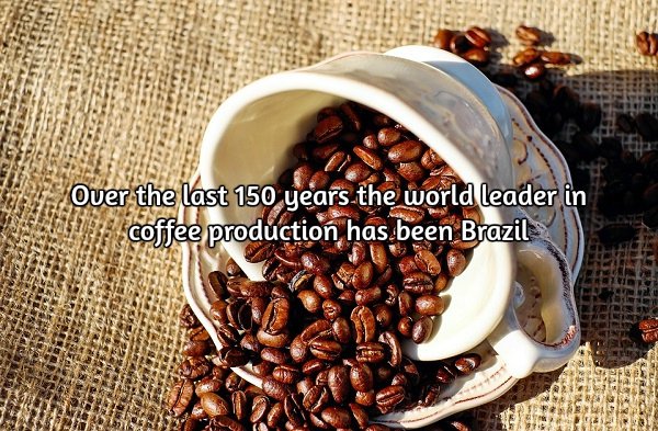 Wake up to some stimulating facts about coffee