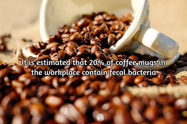 Wake up to some stimulating facts about coffee