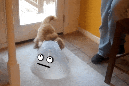 16 GIFs With Hilariously Added Faces