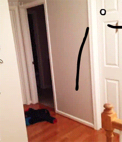 16 GIFs With Hilariously Added Faces
