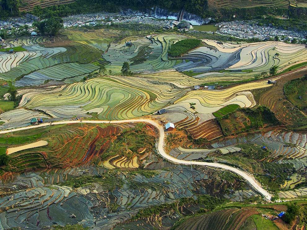 The rice fields of Vietnam look like a Van Gogh painting