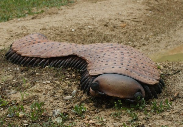 Arthropleura.
Giant millipedes. These things were about 2 meters long. Yeah i’m sorry that’s going to have to be a no for me dawg.