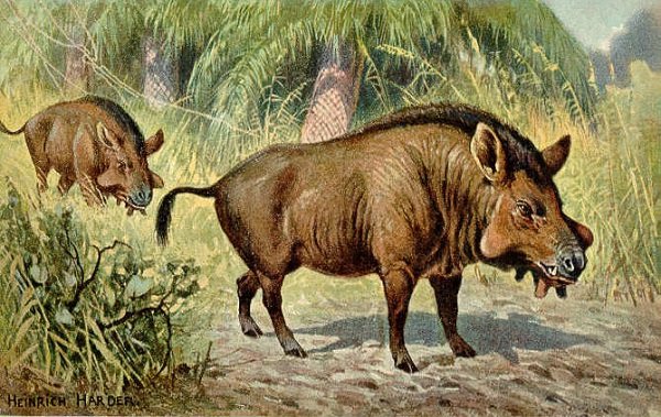 Entelodon.
These beasts are relatives to the modern day wild boar and warthog. They stood on all four as tall as a man, and used their powerful jaws to tear their prey to shreds.