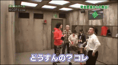 Nothing says WTF like a Japanese game show