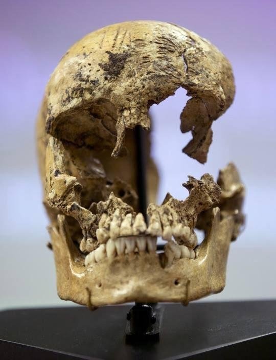 Skull of a 14 year-old girl believed to be a victim of cannibalism at the Jamestown colony in the winter of 1609