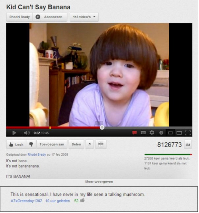 Rare Examples Of Youtube Comments Done Right