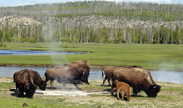 Yellowstone. In case you didn’t know, Yellowstone is actually a huge super-volcano just waiting to melt North America.