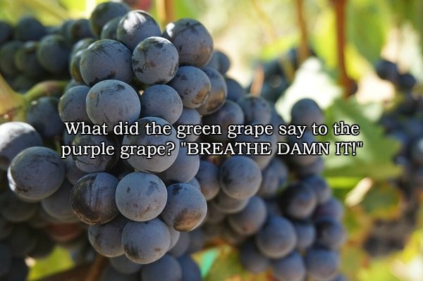 funny blueberry jokes - What did the green grape say to the purple grape? "Breathe Damn It!"