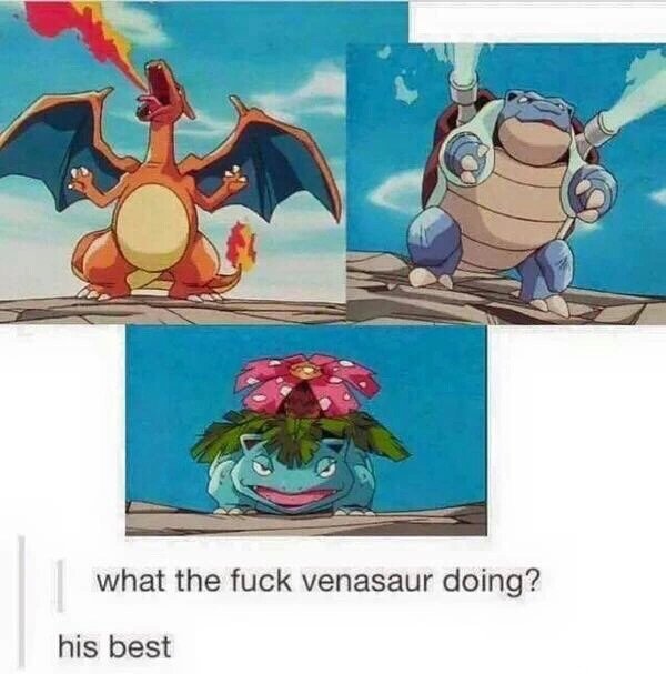 tumblr - what's venusaur doing his best - what the fuck venasaur doing? his best