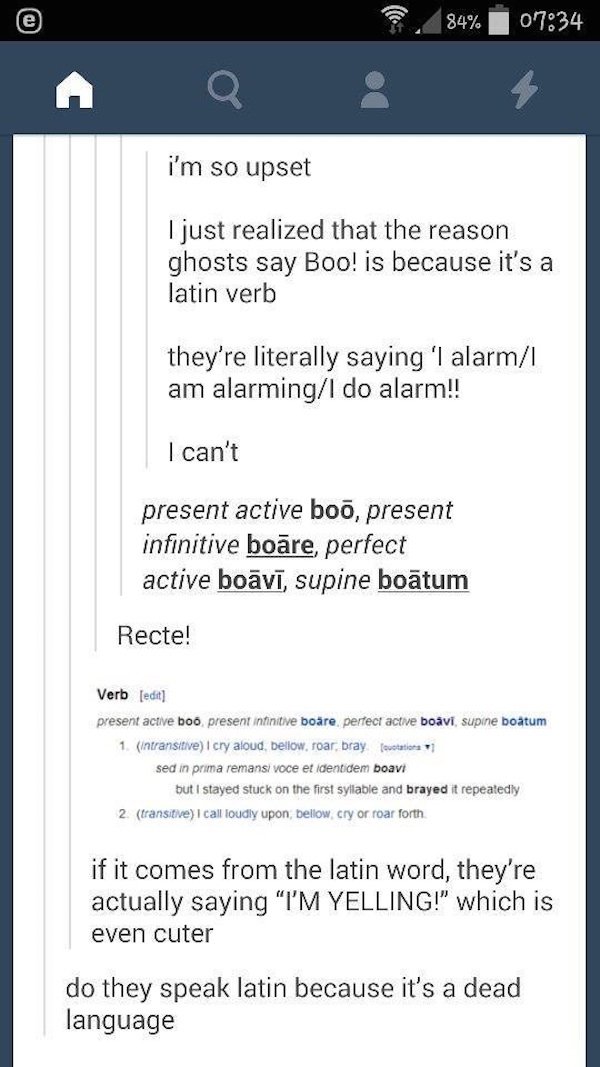 tumblr - intp a personality - 84% i'm so upset I just realized that the reason ghosts say Boo! is because it's a latin verb they're literally saying 'I alarm am alarmingI do alarm!! I can't present active boo, present infinitive bore, perfect active bov, 