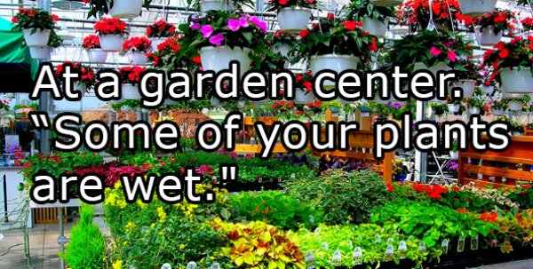 garden center - At a garden center. Some of your plants are wet,