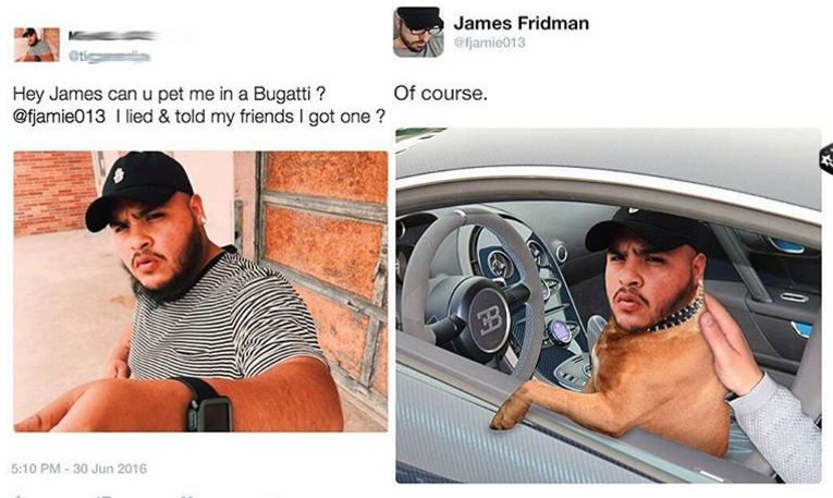 funny photoshop - James Fridman jamic013 Hey James can u pet me in a Bugatti ? Of course. I lied & told my friends I got one?