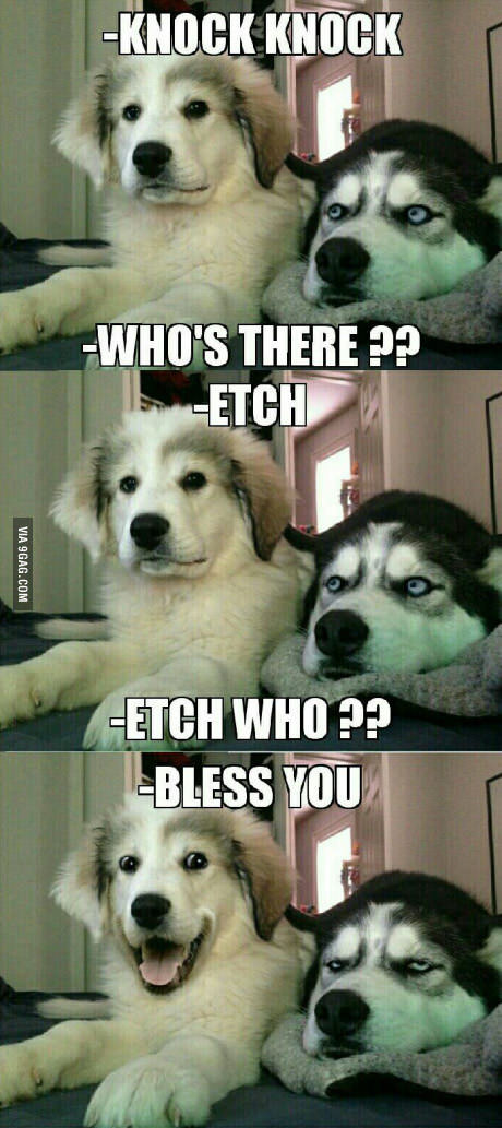 bless you funny - Knock Knock Who'S There ?? Etch Via 9GAG.Com Etch Who?? Bless You