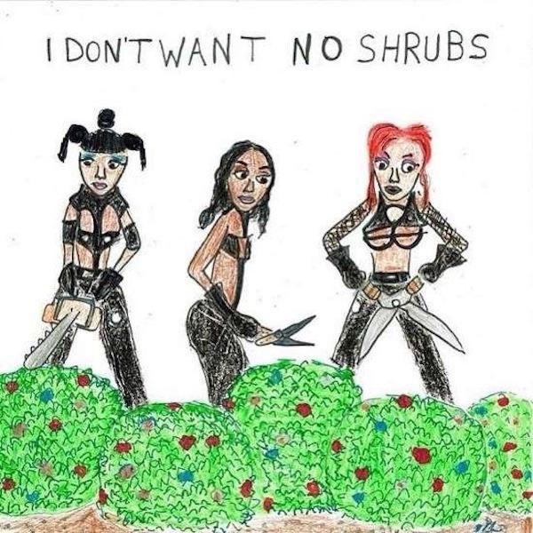 don t want no shrubs - I Don'T Want No Shrubs Yan nim