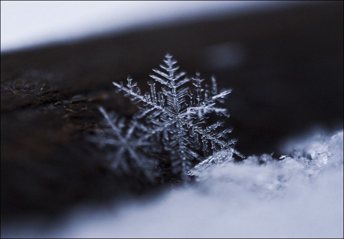 First twin snow crystals.
Two snowflakes actually CAN be alike. The first recorded identical snow crystals were discovered in Colorado in 1988 at an atmospheric research center. They were seen under a microscope after a Wisconsin storm.