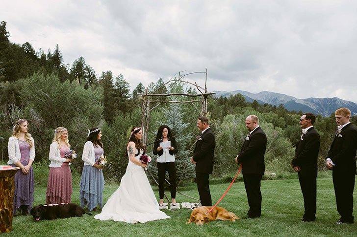 Then suddenly, the week of the wedding Charlie had no seizures, no trouble walking.

He “seemed like a whole new dog.” O’connell said. she thought he might actually make it to the wedding.