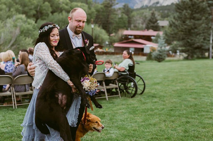 Charlie was too tired to walk back, so Katie Lloyd, Kelly’s sister, scooped up the 80-pound dog and carried him back in her arms.