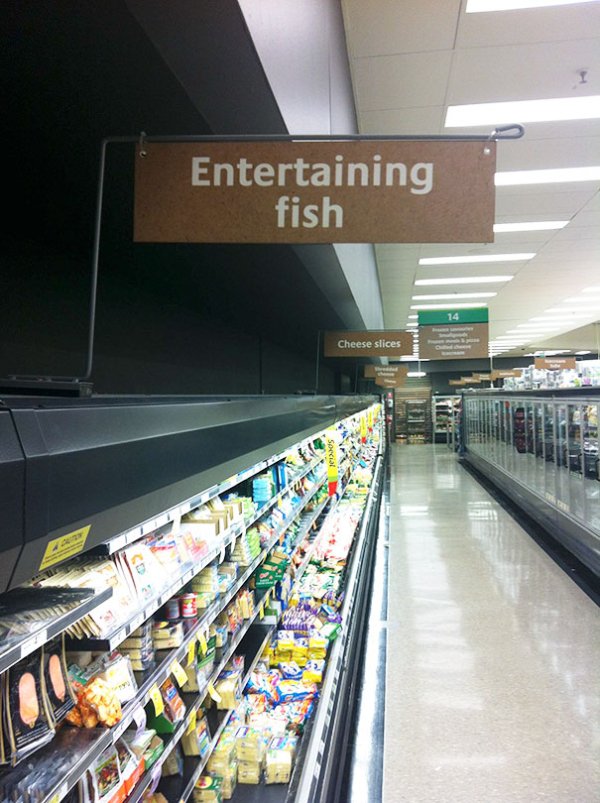 funny supermarket - Entertaining fish Cheese slices