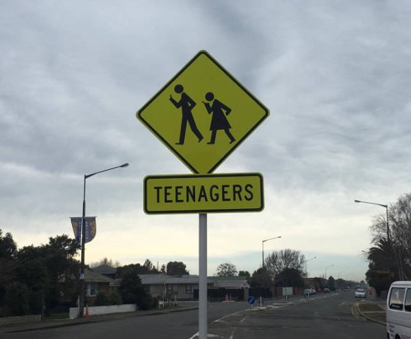 oamaru, penguin colony - Teenagers