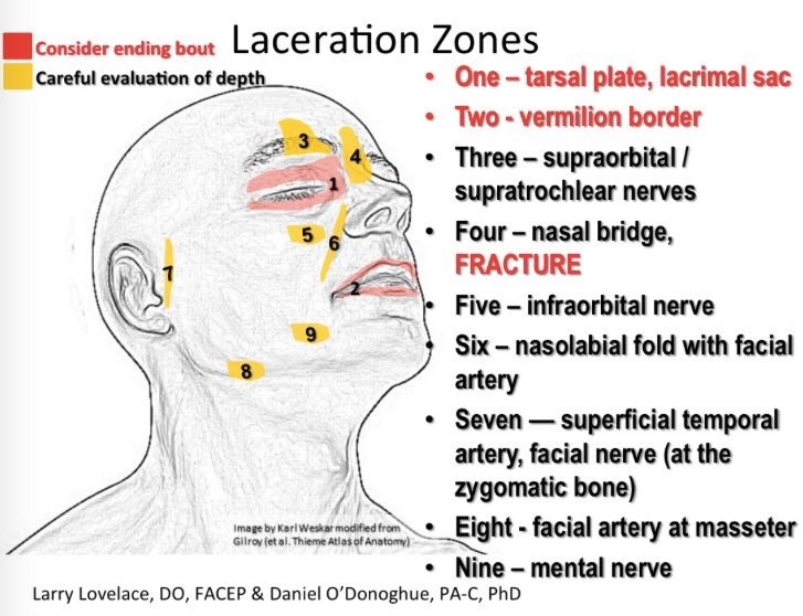 Association of Ringside Physicians laceration guide