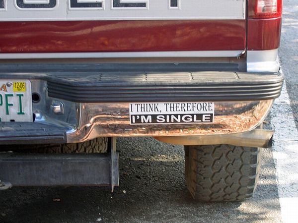 There are regular bumper stickers, then there are these masterpieces